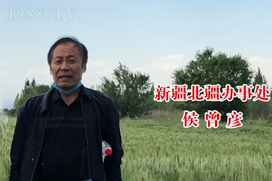 中農(nóng)化新疆北疆辦事處負(fù)責(zé)人:同路同行共發(fā)展