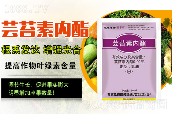 蕓苔素內酯為啥被稱為植物救命藥？蕓苔素內酯怎么選？