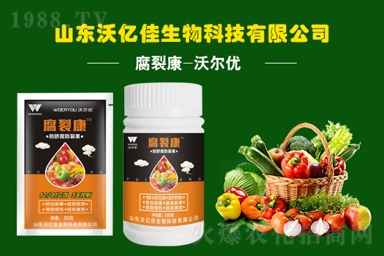 ɽ�|�փ|������Ƽ����޹�˾34