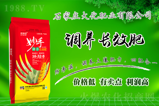 戰(zhàn)略合作再升級(jí)，石家莊大化肥業(yè)再次簽約1988.TV！