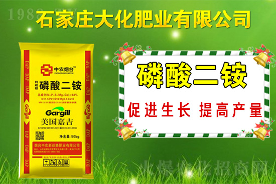 戰(zhàn)略合作再升級(jí)，石家莊大化肥業(yè)再次簽約1988.TV！