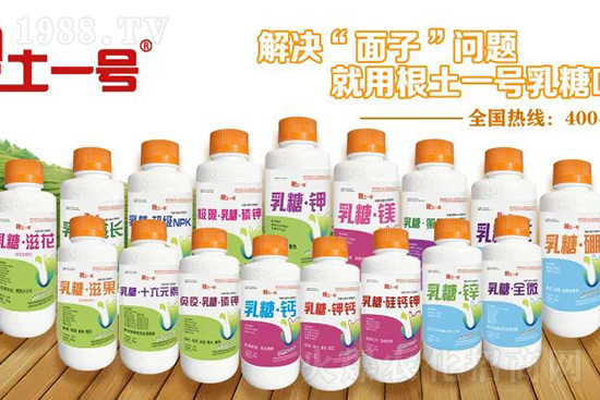 7月份獼猴桃進(jìn)入二次膨大期、轉(zhuǎn)糖期,這5個(gè)管理要點(diǎn)不得不看!