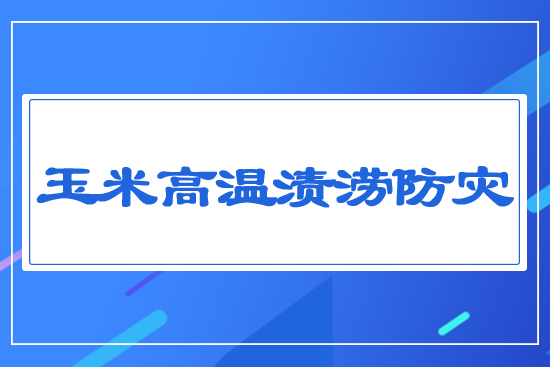 ���׸ߜ؝n������(z��i)