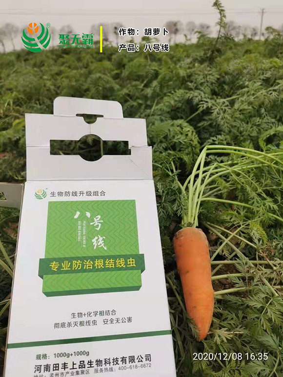 淡紫紫孢菌+阿維菌毒-八號(hào)線-聚無霸2
