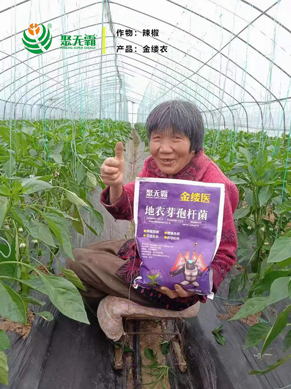 金縷醫(yī)地衣芽孢桿菌-聚無霸3