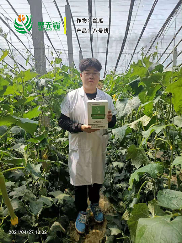 淡紫紫孢菌+阿維菌毒-八號(hào)線-聚無霸3