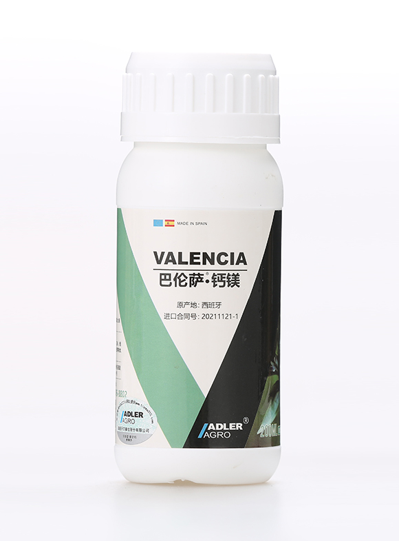 �͂��_���}�V4