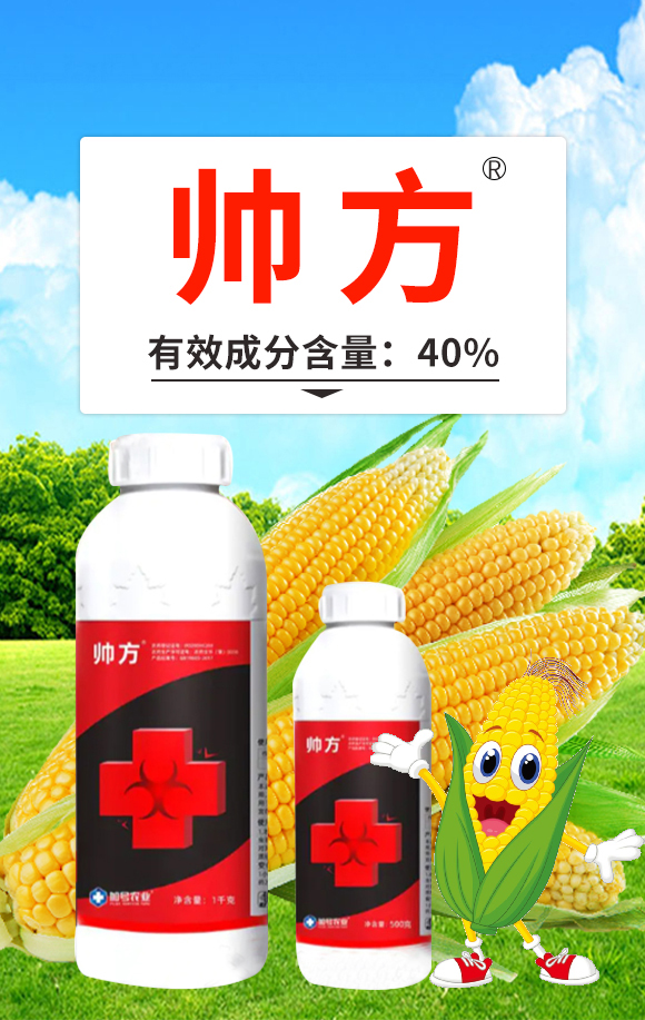 帥方-加號(hào)農(nóng)業(yè)_01