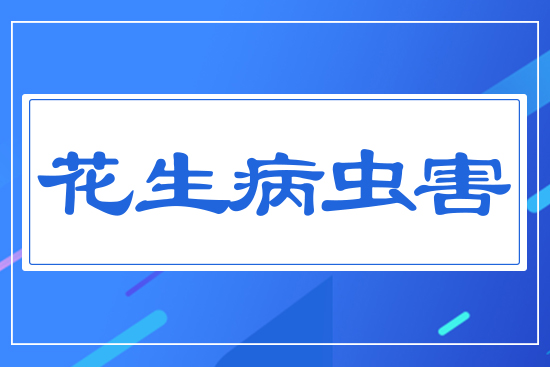 �������x��