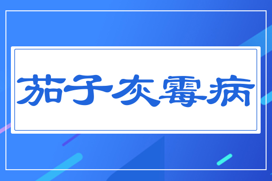 茄子灰霉病