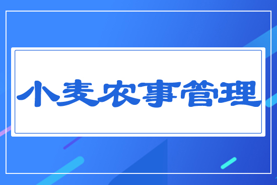 小麥農(nóng)事管理