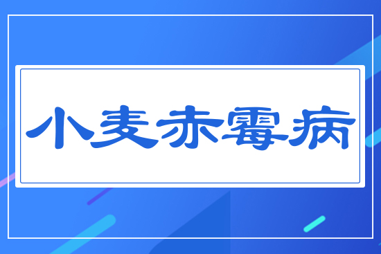 С����ù��