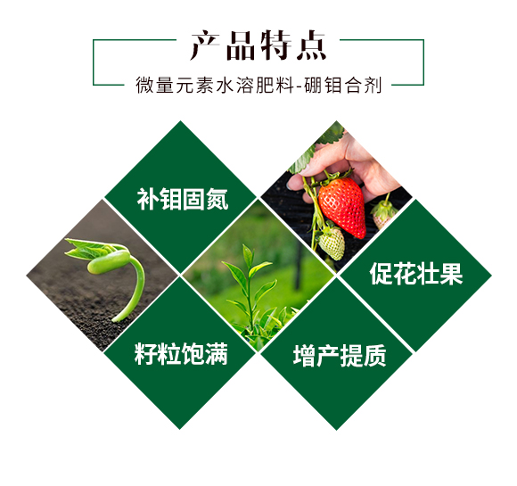 河北晁群農業(yè)科技有限公司_03