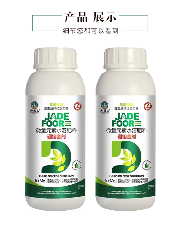 河北晁群農業(yè)科技有限公司_04