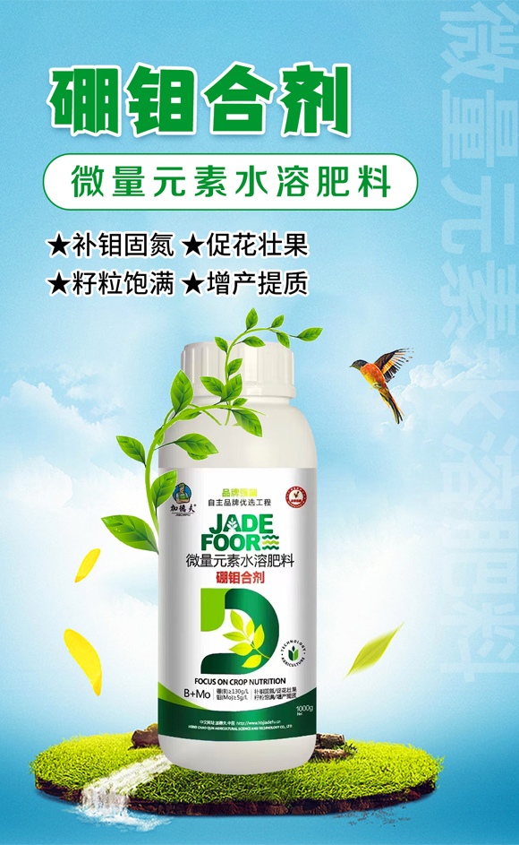 河北晁群農業(yè)科技有限公司_01