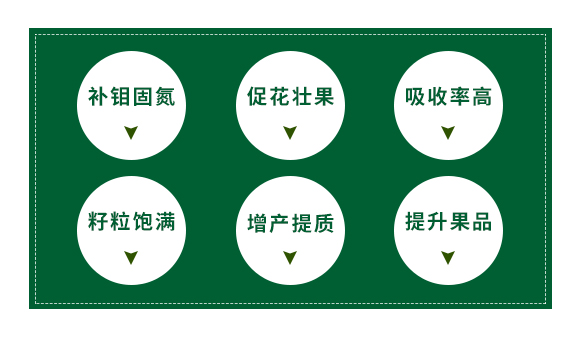 河北晁群農業(yè)科技有限公司_02