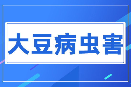 大豆病蟲(chóng)害