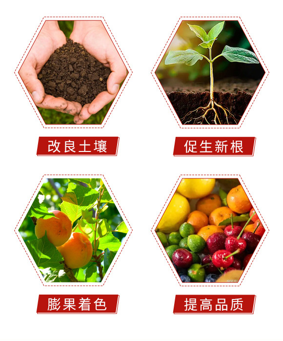 小顆粒大能量-艾谷農(nóng)業(yè)_05