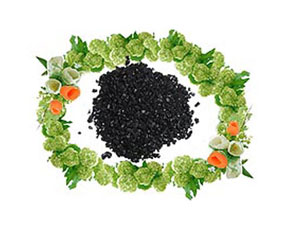 內(nèi)蒙古烏海市創(chuàng)聯(lián)腐植酸鹽加工有限公司