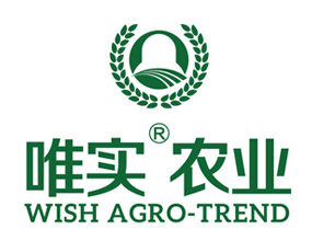 ɽ��Ψ��(sh��)�r(n��ng)�I(y��)���F(tu��n)�ɷ����޹�˾