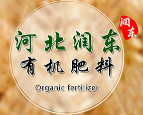 �ӱ����|�ʘI(y��)���޹�˾