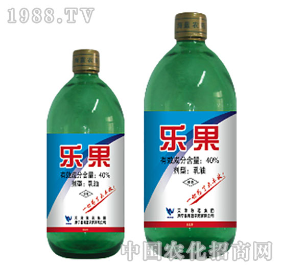 40%樂(lè)果-海藍(lán)