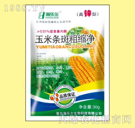 玉米條斑粗縮凈-瀚樂(lè)爾