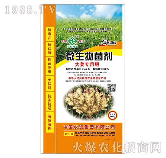大姜專用微生物菌劑-中農(nóng)
