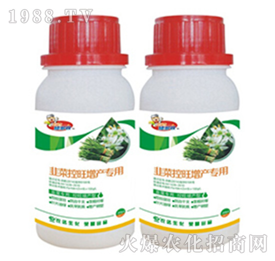 韭菜控旺增產專用-矮多收-農達生化