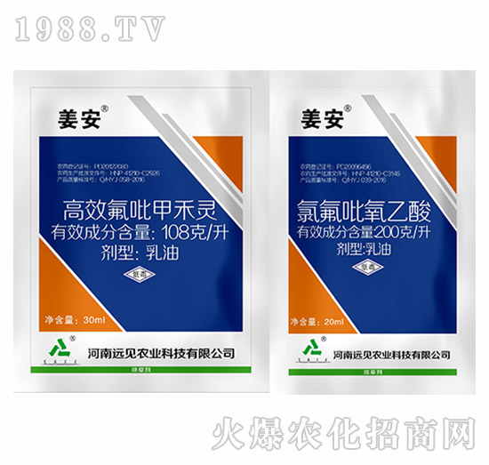 姜安-遠見農業(yè)