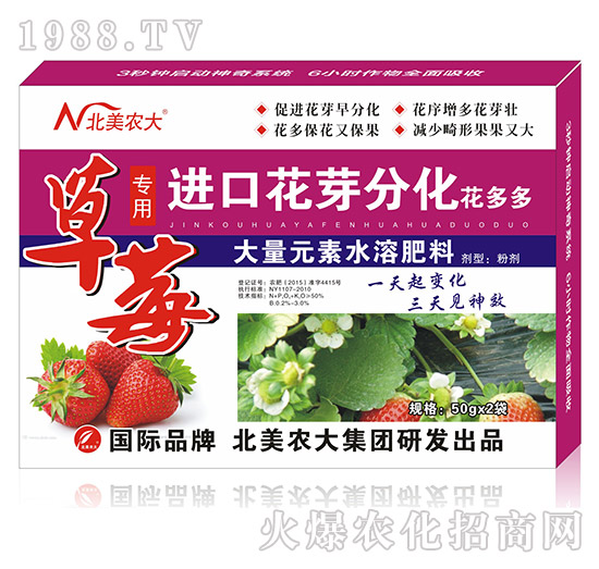 草莓專用進口花芽分化-北美農(nóng)大
