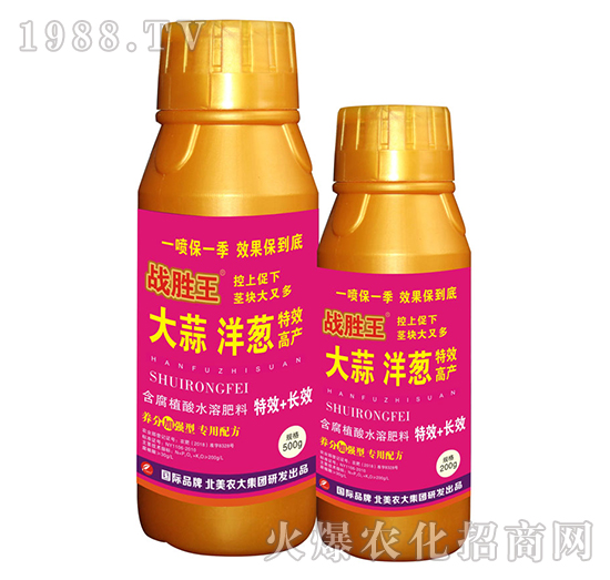 大蒜洋蔥特效高產含腐植酸水溶肥料-戰(zhàn)勝王-北美農大