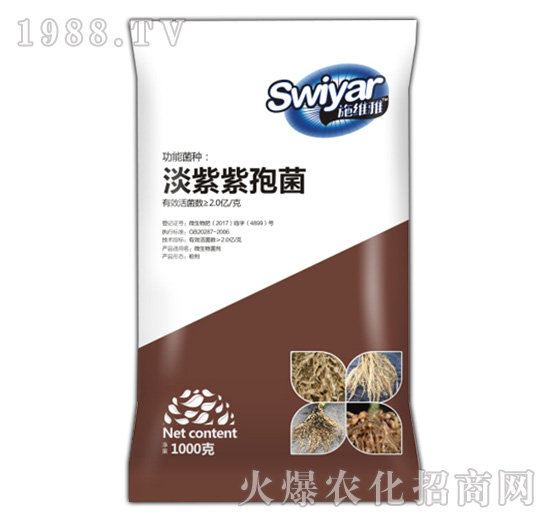 淡紫紫孢菌-圃朗特