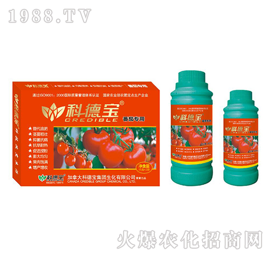 番茄專用營(yíng)養(yǎng)增產(chǎn)調(diào)理劑-科德寶