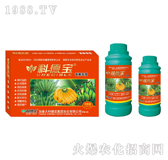 香蕉專用營(yíng)養(yǎng)增產(chǎn)調(diào)理劑-科德寶