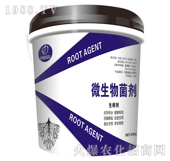 ΢�������-������-�Z��