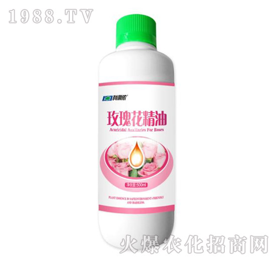 õ�徫��-�����r(n��ng)