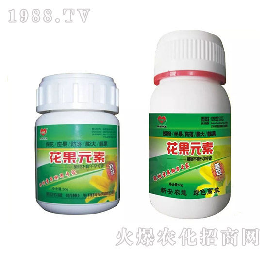 ���䌣����-����Ԫ��-�°��r(n��ng)��