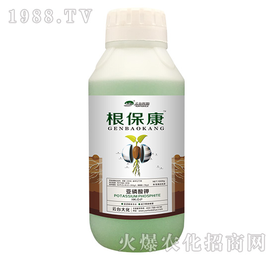 1000g根?？?云臺大化