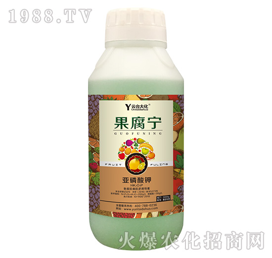 1000g������-���_��