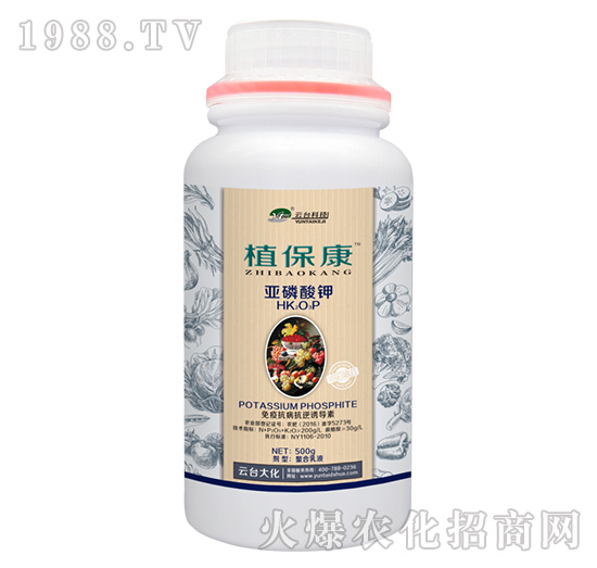 500g植?？?云臺(tái)大化