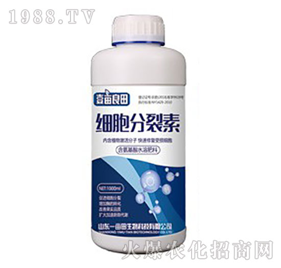 細胞分裂素-壹畝良田