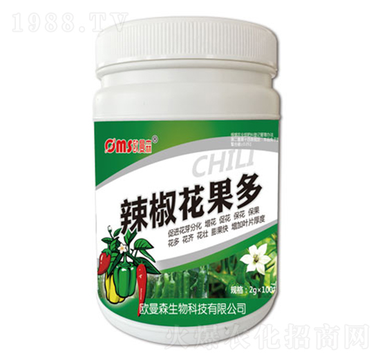 ����������-�W��ɭ