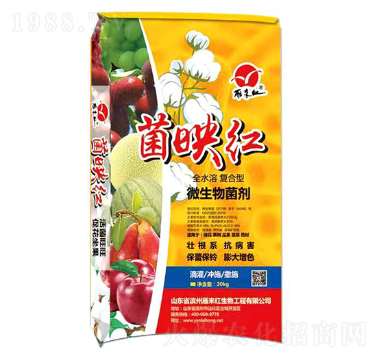 全水溶復合型微生物菌劑-菌映紅-雁來紅