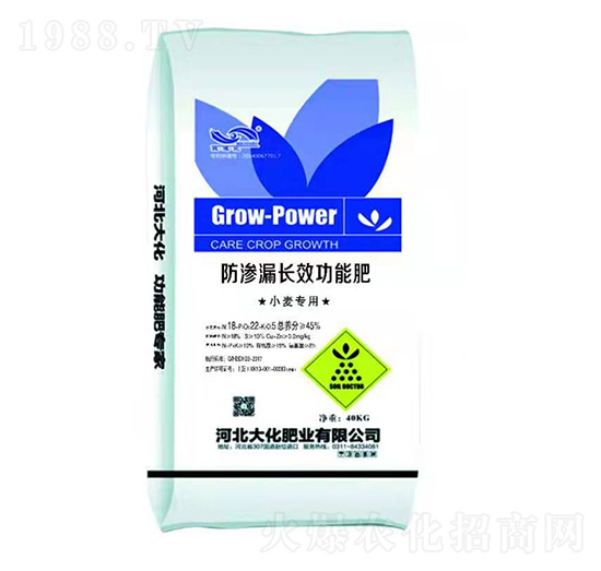 小麥專用防滲漏長效功能肥-大化肥業(yè)