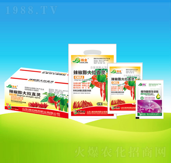 ���������ֱ�`-�n��ʘI(y��)