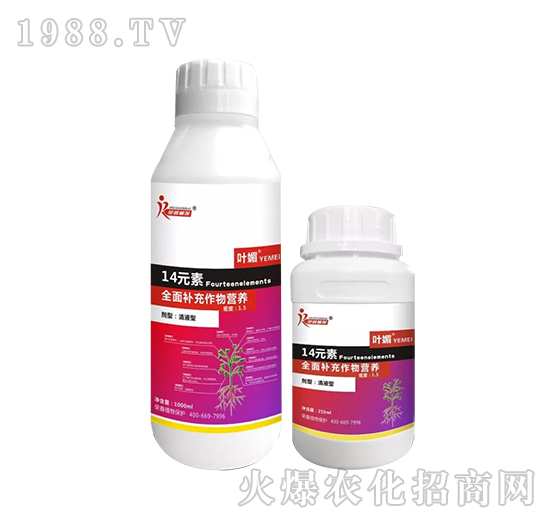 14Ԫ��-ȫ���a(b��)������I�B(y��ng)-�s��ֲ��