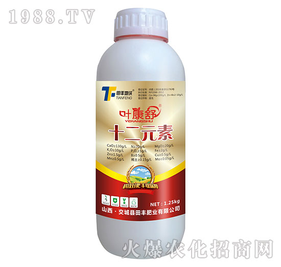 十二元素-葉康舒-田豐地沃