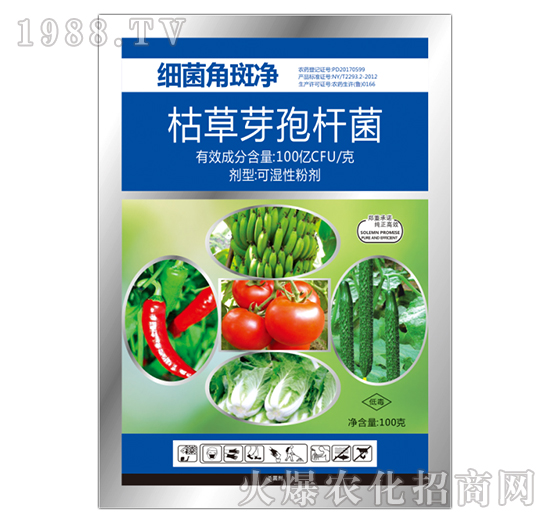 枯草芽孢桿菌-細菌角斑凈-寶豐農(nóng)藥