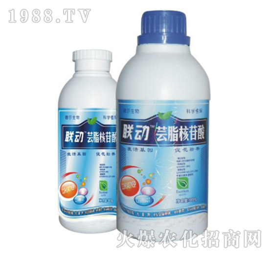 蕓脂核苷酸-聯(lián)動(dòng)-德?tīng)柹? style=